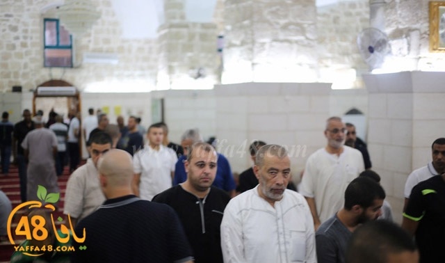 laila qader 3omar (3).jpg